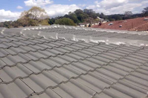 bang-mau-son-ngoi-bluezone-gia-re