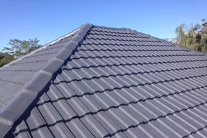 son-ngoi-mau-xam-bluezone