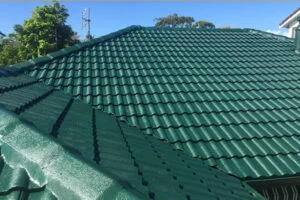 son-ngoi-mau-xanh-bluezone