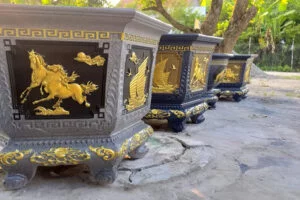 son-nhu-vang-bluezone-top-1-thi-truong