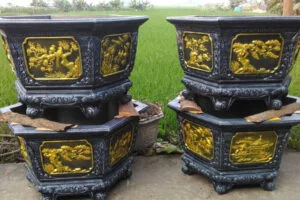 son-nhu-vang-son-chau-canh